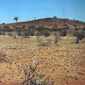 Near Upington