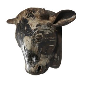 CATTLE HEAD C194