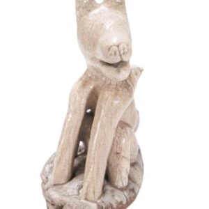 RADIANCE DOG 2009 C298