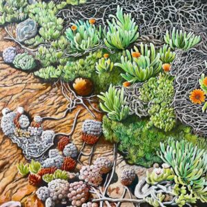 Rocks and Plants (Details)