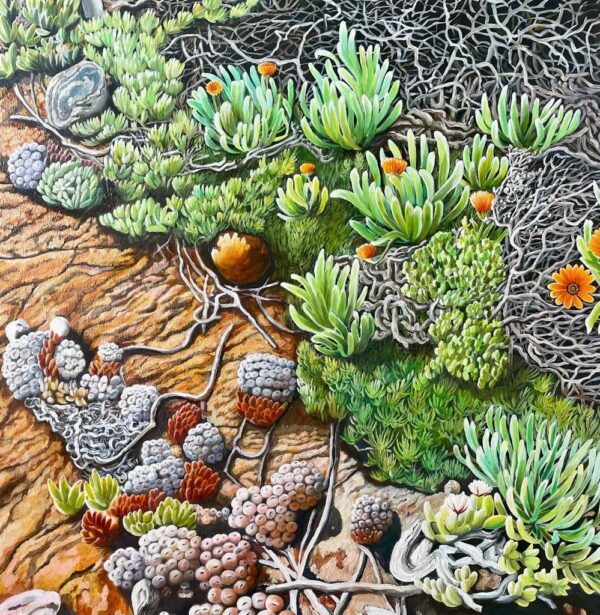 Rocks and Plants (Details)