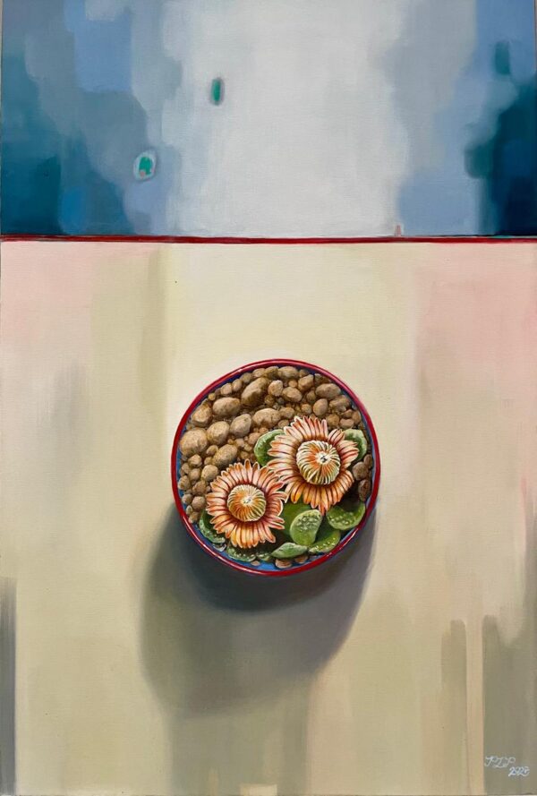 Still Life with Succulents No2