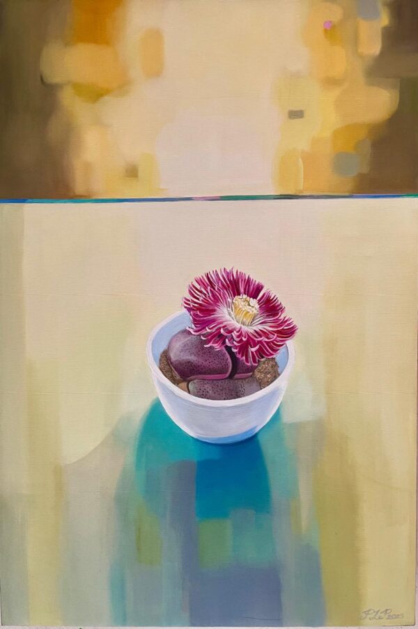 Still Life with Succulents No4