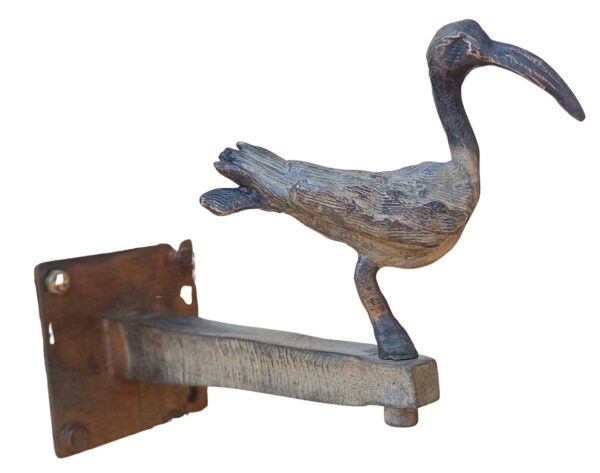 SACRED IBIS 16