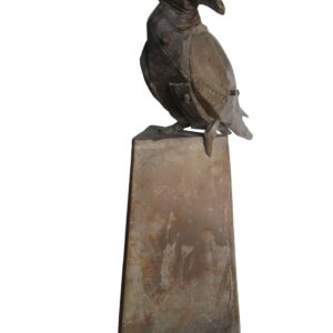 DOVE